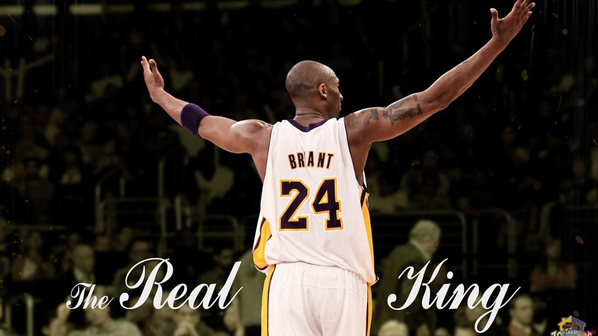 公牛鏖战76人，拉梅洛在意甲焦点战接管比赛，体育精神的全球共鸣